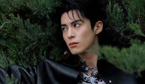 娱乐最新爆料王鹤棣视频,神秘剧情引粉丝热议